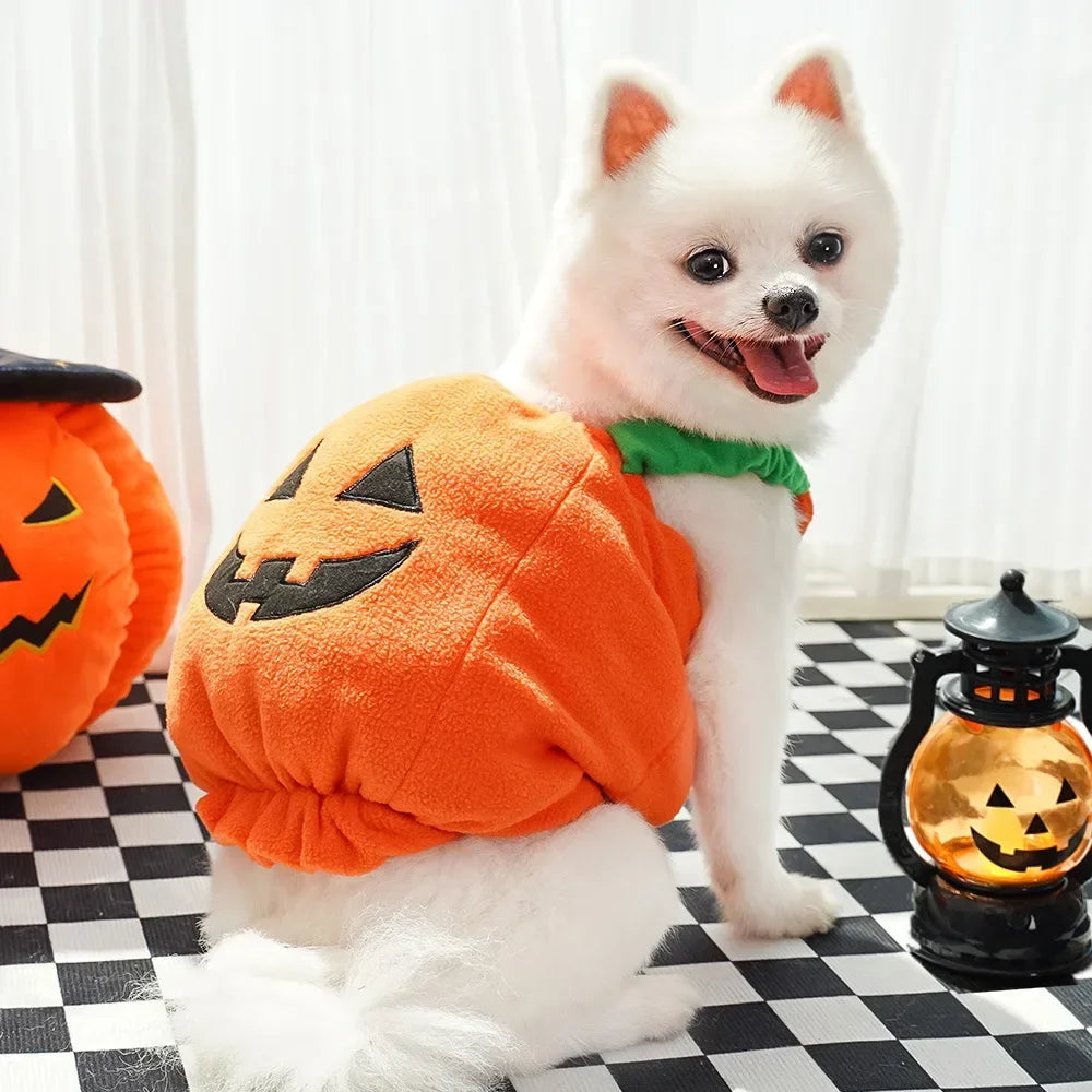 🎃 Halloween Dog Costume – Funny Pumpkin Lantern Outfit with Hat | Cute Two-Legged Pet Jacket for Dogs & Cats
