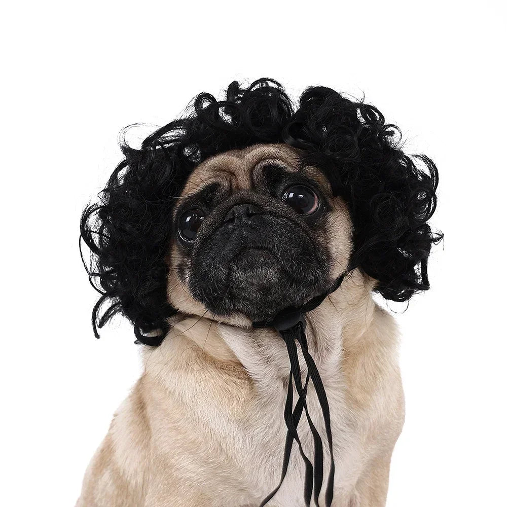 Pet Wig – Curly & Straight Hair Costume Accessory for Dogs & Cats, DIY Trimmed