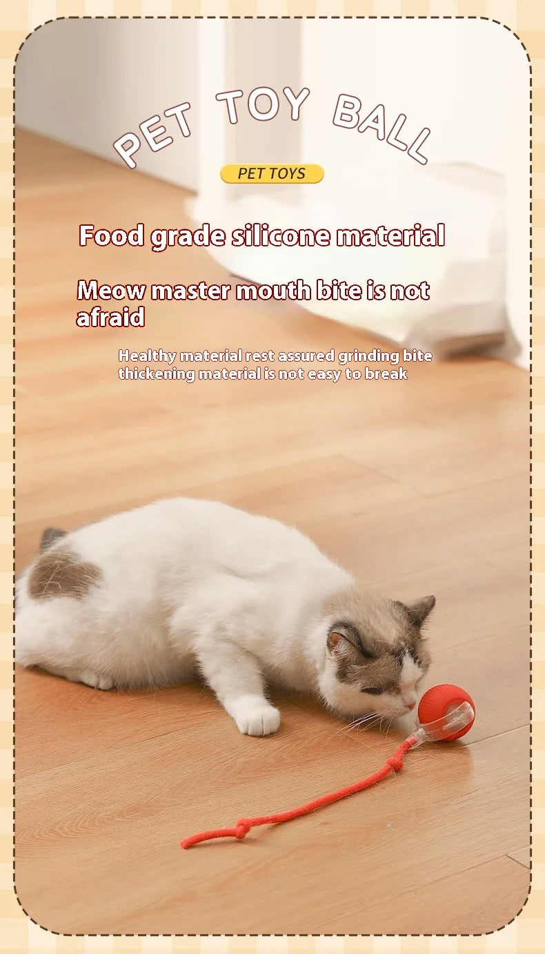 Cat Interactive Ball Toy - Automatic Rolling Ball with Faux Tail, Rechargeable Smart Pet Electric Toy for Dog & Cat Training, Imitates Mouse Movement