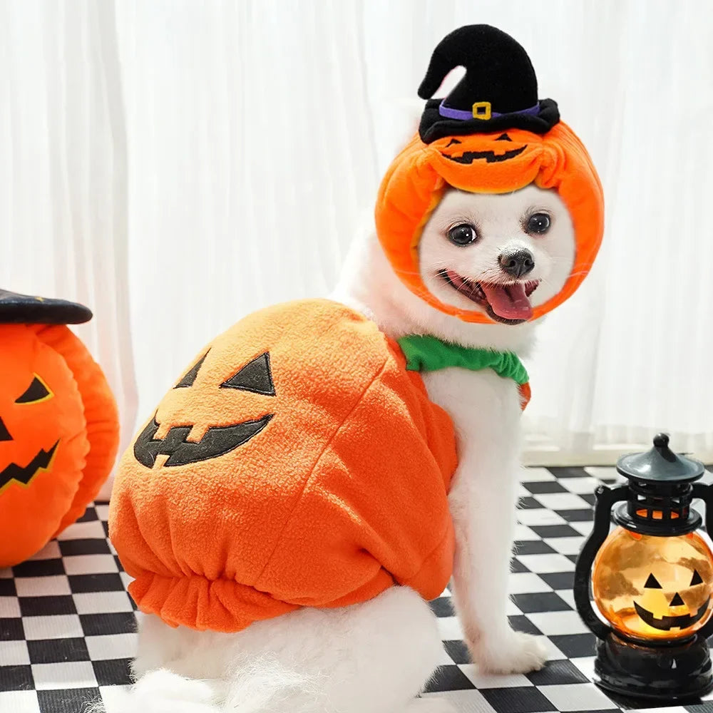 🎃 Halloween Dog Costume – Funny Pumpkin Lantern Outfit with Hat | Cute Two-Legged Pet Jacket for Dogs & Cats
