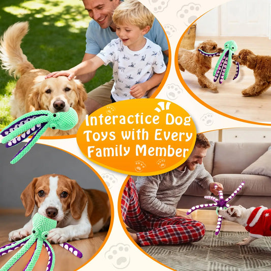 Plush Squeaky Dog Toy