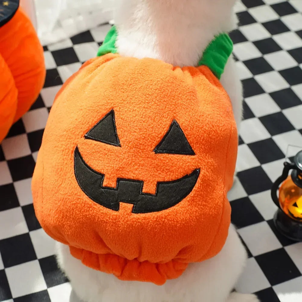 🎃 Halloween Dog Costume – Funny Pumpkin Lantern Outfit with Hat | Cute Two-Legged Pet Jacket for Dogs & Cats