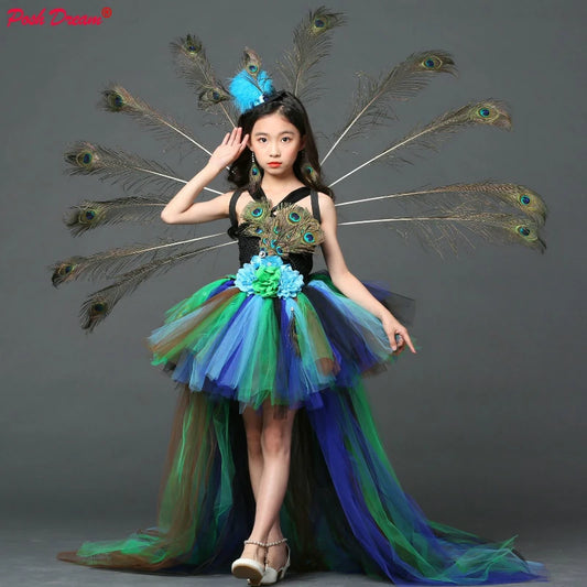 Girls' Peacock Tutu Costume Dress with Headband