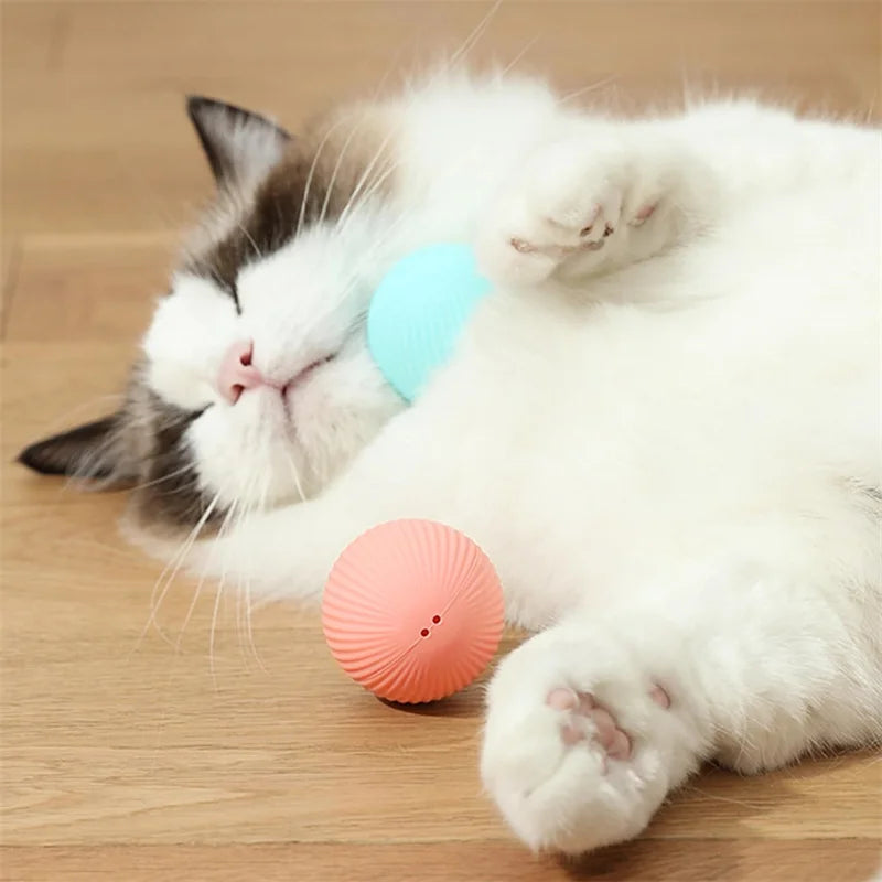 USB Rechargeable Interactive Pet Ball, Automatic Moving Toy for Puppies, Dogs, and Cats