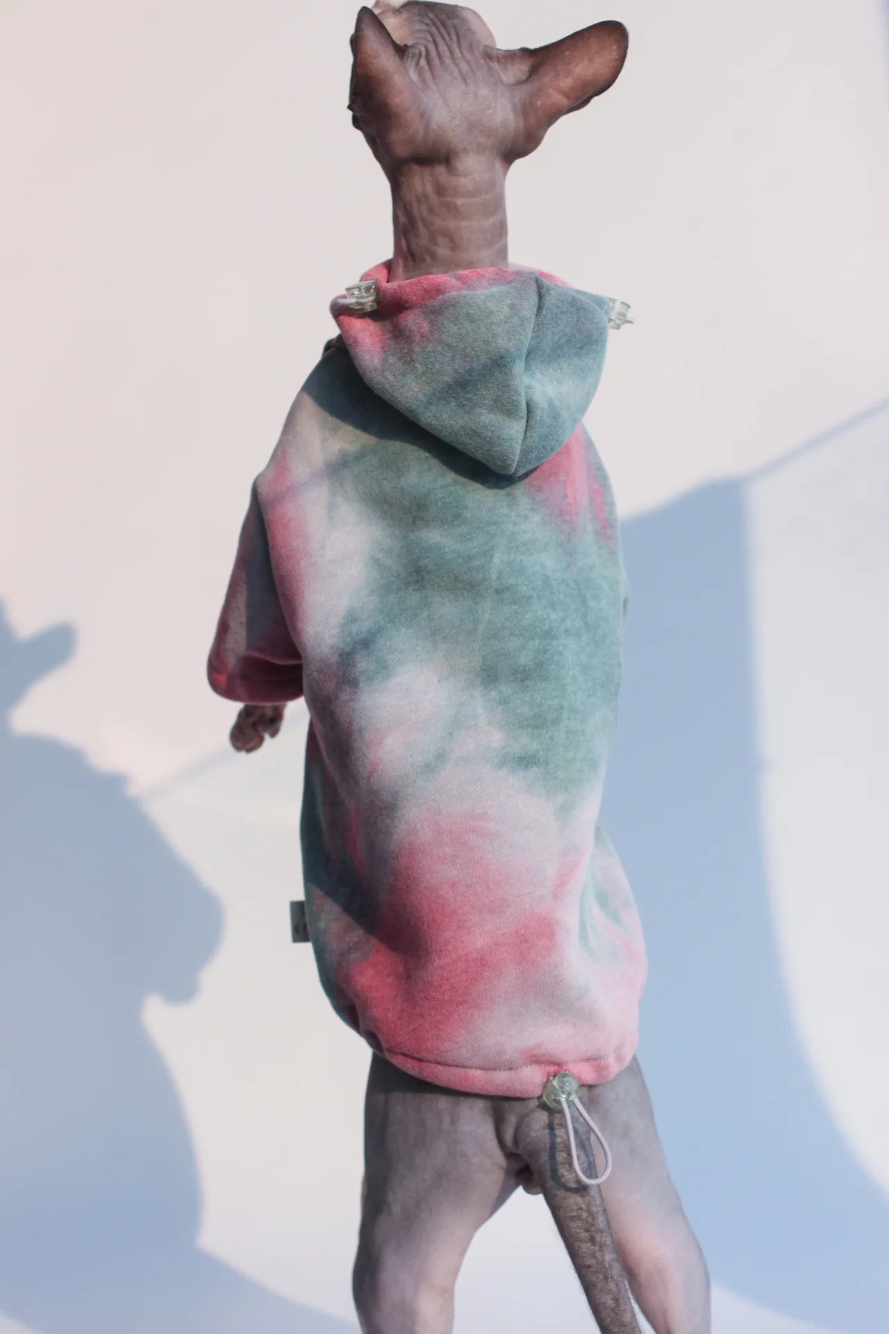 Fleece-Lined Cat & Small Dog Hoodie — Warm Autumn Winter Pet Jacket