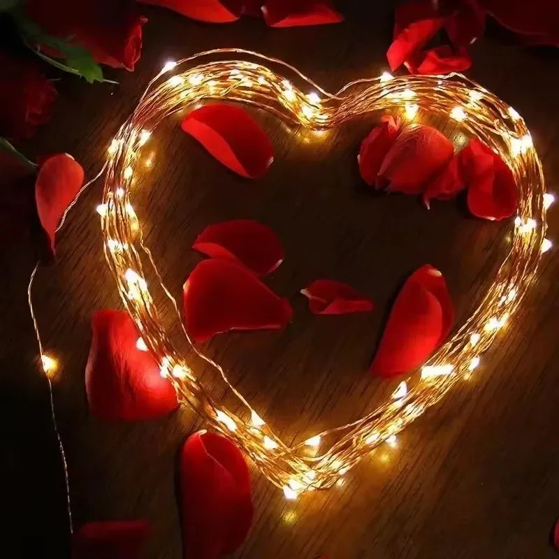 Solar LED Fairy String Lights with Flexible Copper Wire for Garden, Patio, Tree and Christmas Party Decorating