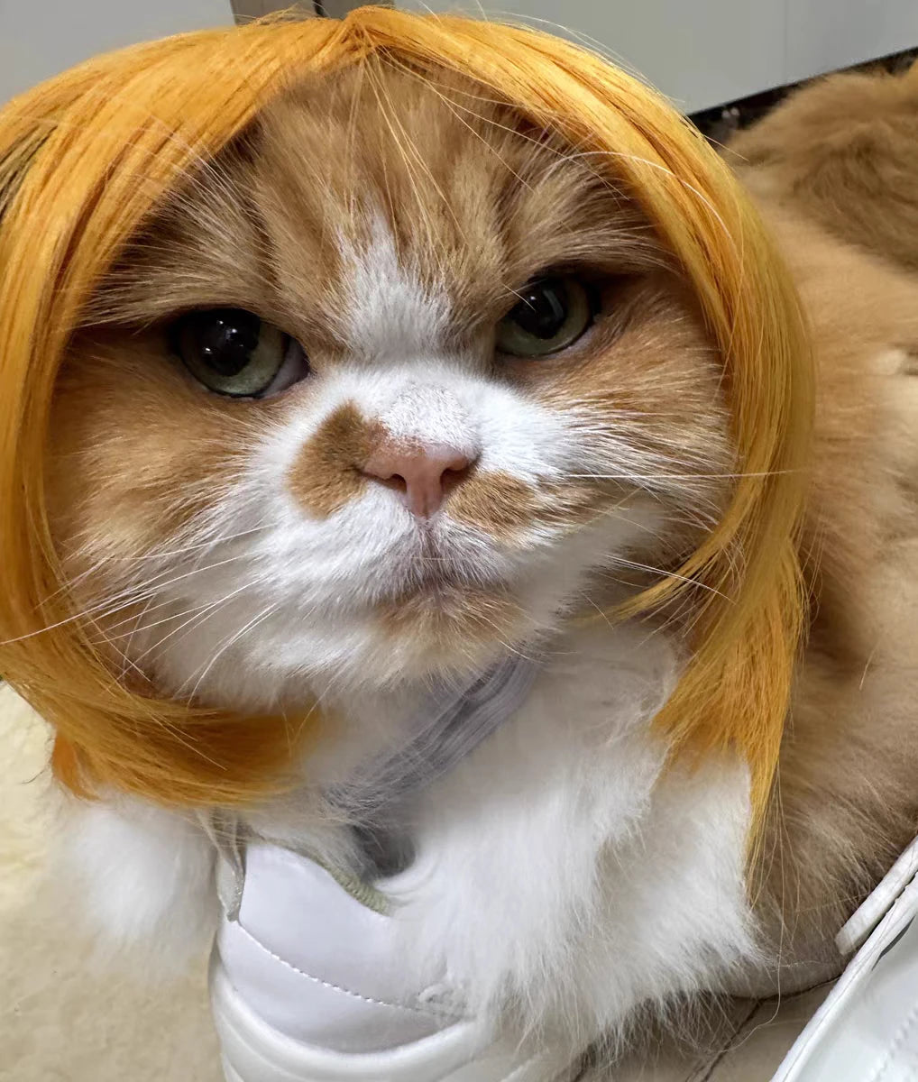 Pet Wig – Curly & Straight Hair Costume Accessory for Dogs & Cats, DIY Trimmed