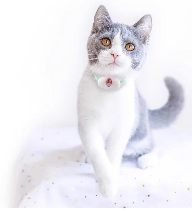 Smart Laser Tease Cat Collar – USB Rechargeable, Automatic Interactive Toy for Kittens & Cats