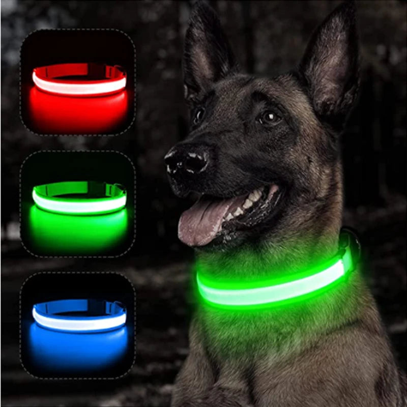 LED Glowing Dog Collar – Adjustable Rechargeable Flashing Luminous Night Safety Collar for Small Dogs