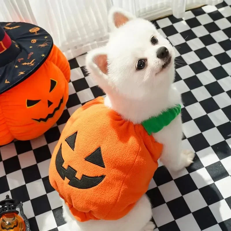 🎃 Halloween Dog Costume – Funny Pumpkin Lantern Outfit with Hat | Cute Two-Legged Pet Jacket for Dogs & Cats