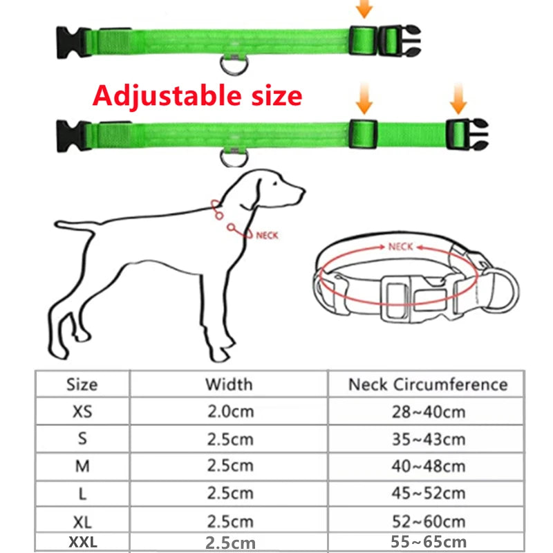 LED Glowing Dog Collar – Adjustable Rechargeable Flashing Luminous Night Safety Collar for Small Dogs