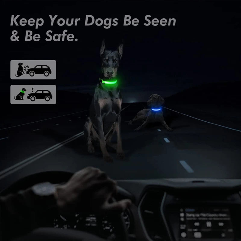 LED Glowing Dog Collar – Adjustable Rechargeable Flashing Luminous Night Safety Collar for Small Dogs