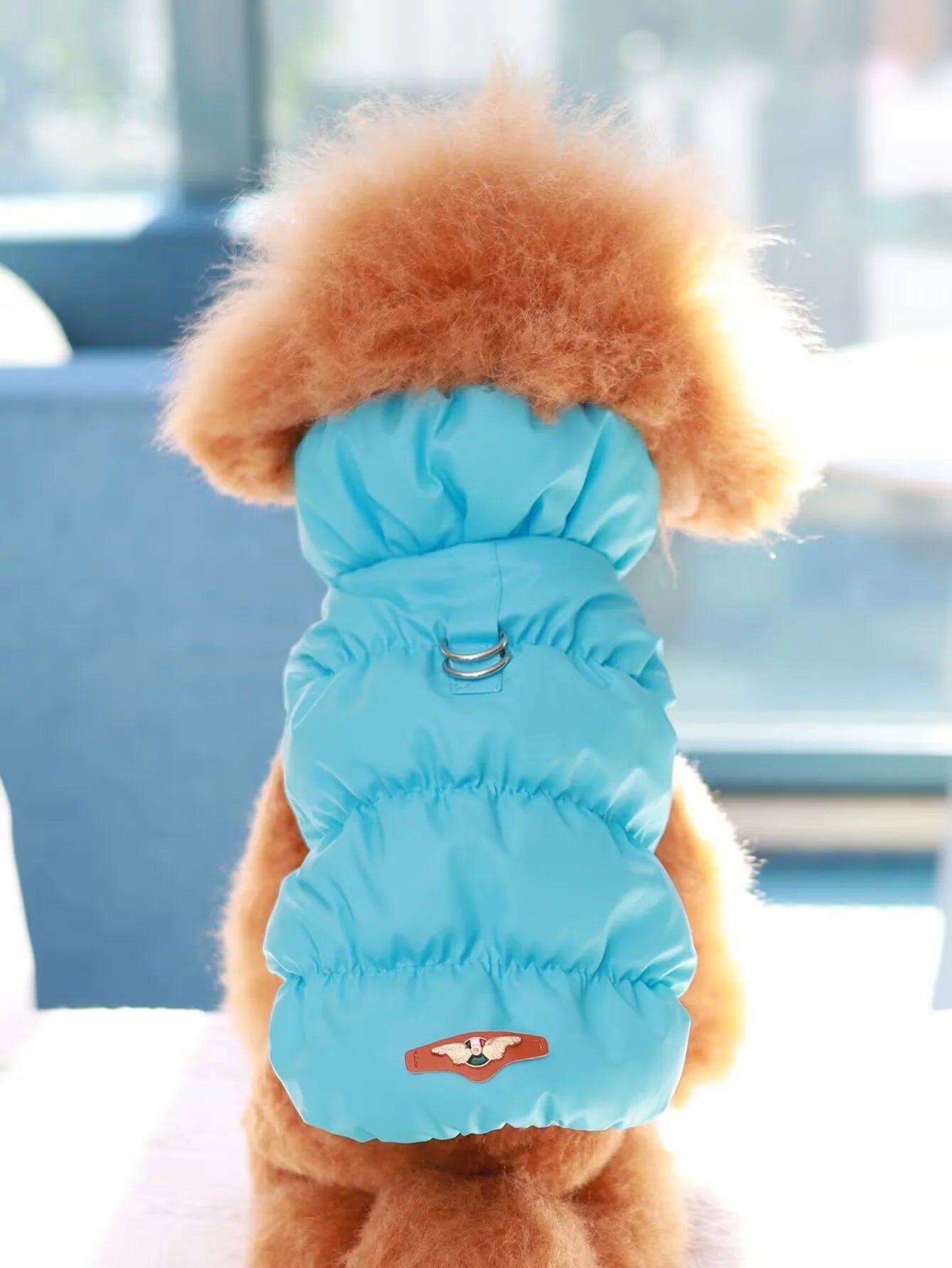 Warm Pet Dog Jacket – 3-Layer Thick Coat for Small to Medium Dogs, Autumn/Winter Outerwear