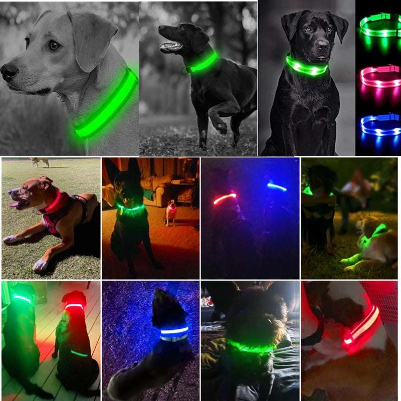 LED Glowing Dog Collar – Adjustable Rechargeable Flashing Luminous Night Safety Collar for Small Dogs