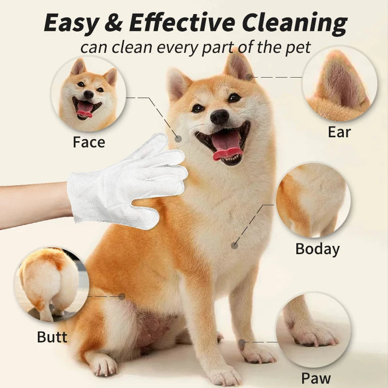6PCS Pet Cleaning Gloves – Wash-Free Deodorizing Wipes for Cats & Dogs, Disposable Dry Bath Grooming Gloves