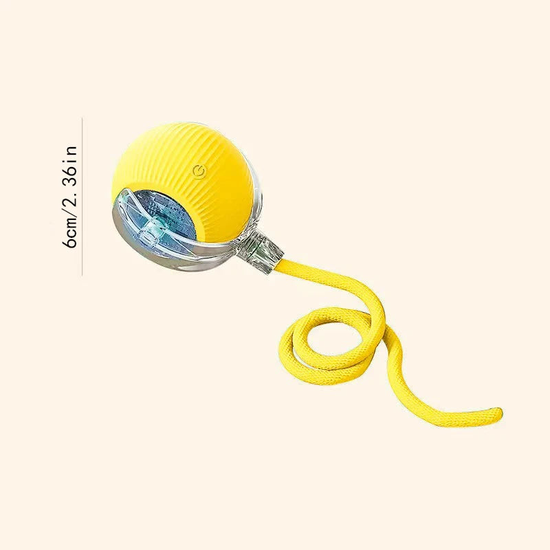 USB Rechargeable Interactive Pet Ball, Automatic Moving Toy for Puppies, Dogs, and Cats