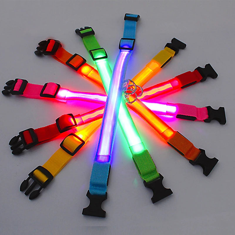 LED Glowing Dog Collar – Adjustable Rechargeable Flashing Luminous Night Safety Collar for Small Dogs