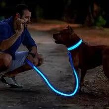 LED Glowing Dog Collar – Adjustable Rechargeable Flashing Luminous Night Safety Collar for Small Dogs