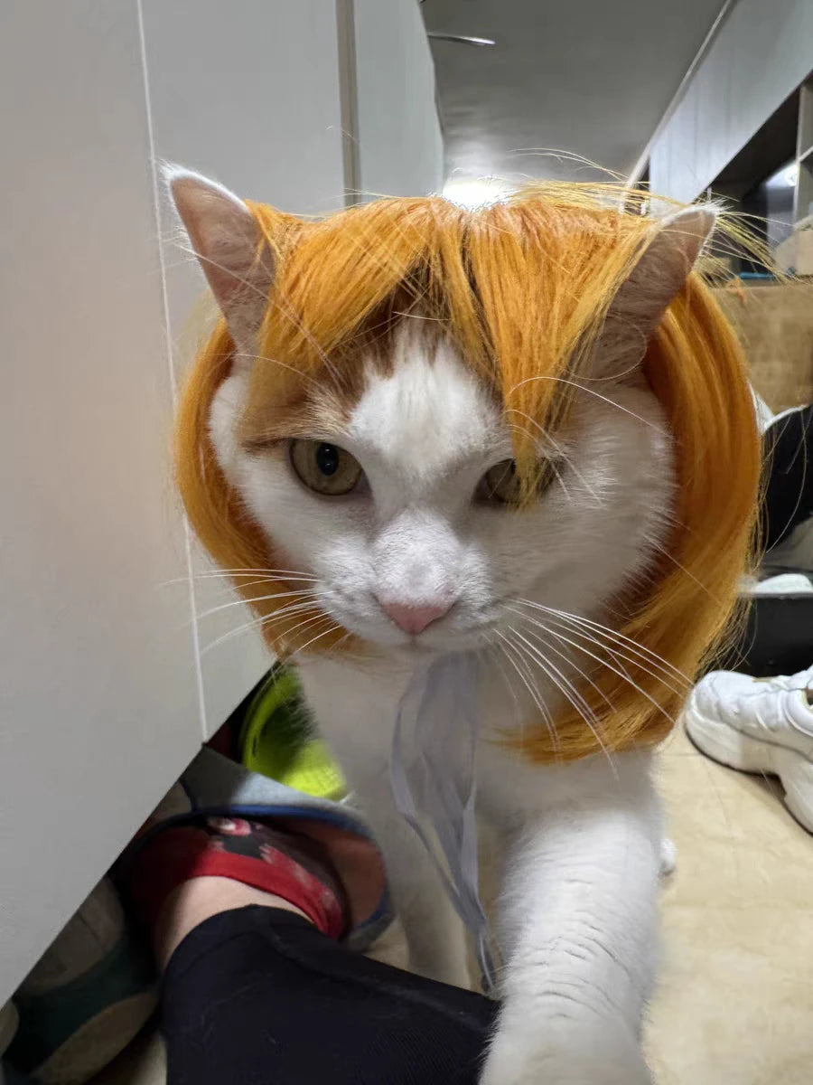 Pet Wig – Curly & Straight Hair Costume Accessory for Dogs & Cats, DIY Trimmed