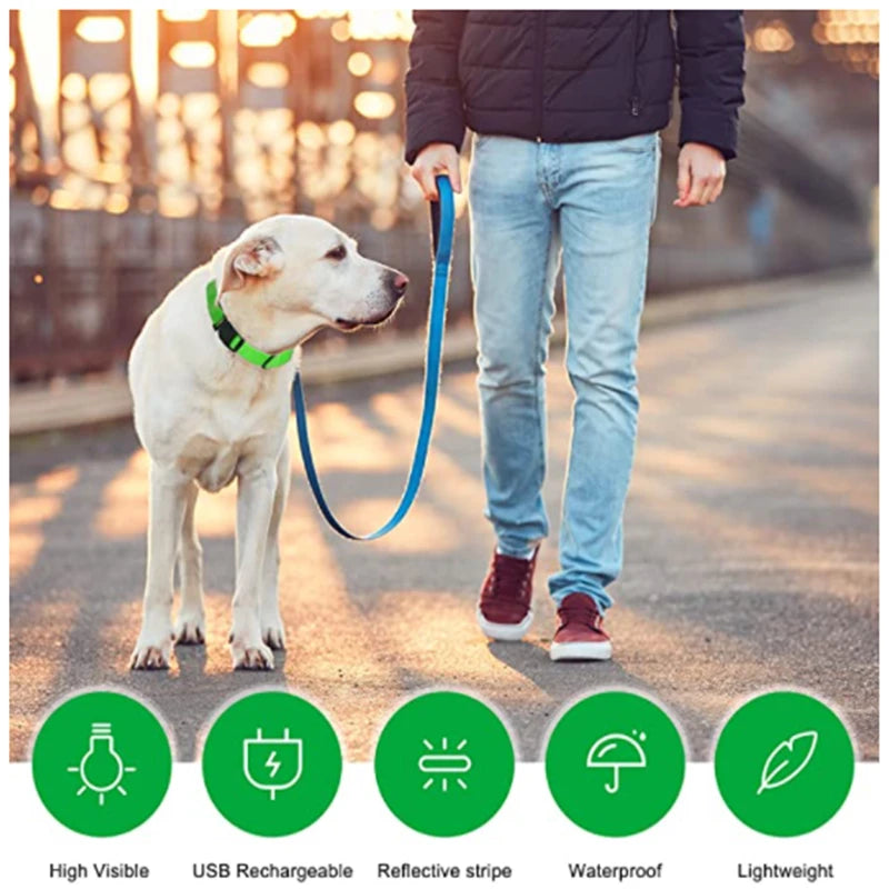 LED Glowing Dog Collar – Adjustable Rechargeable Flashing Luminous Night Safety Collar for Small Dogs