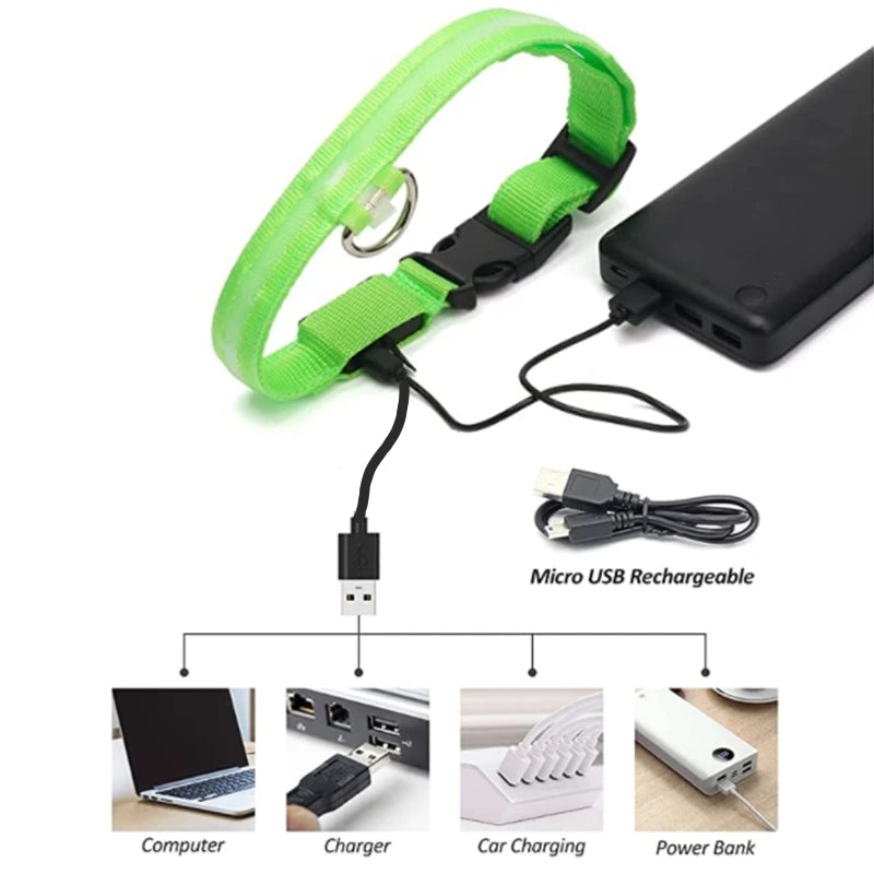 LED Glowing Dog Collar – Adjustable Rechargeable Flashing Luminous Night Safety Collar for Small Dogs