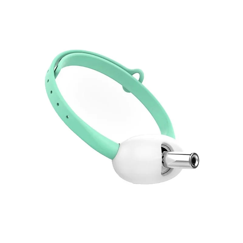 Smart Laser Tease Cat Collar – USB Rechargeable, Automatic Interactive Toy for Kittens & Cats
