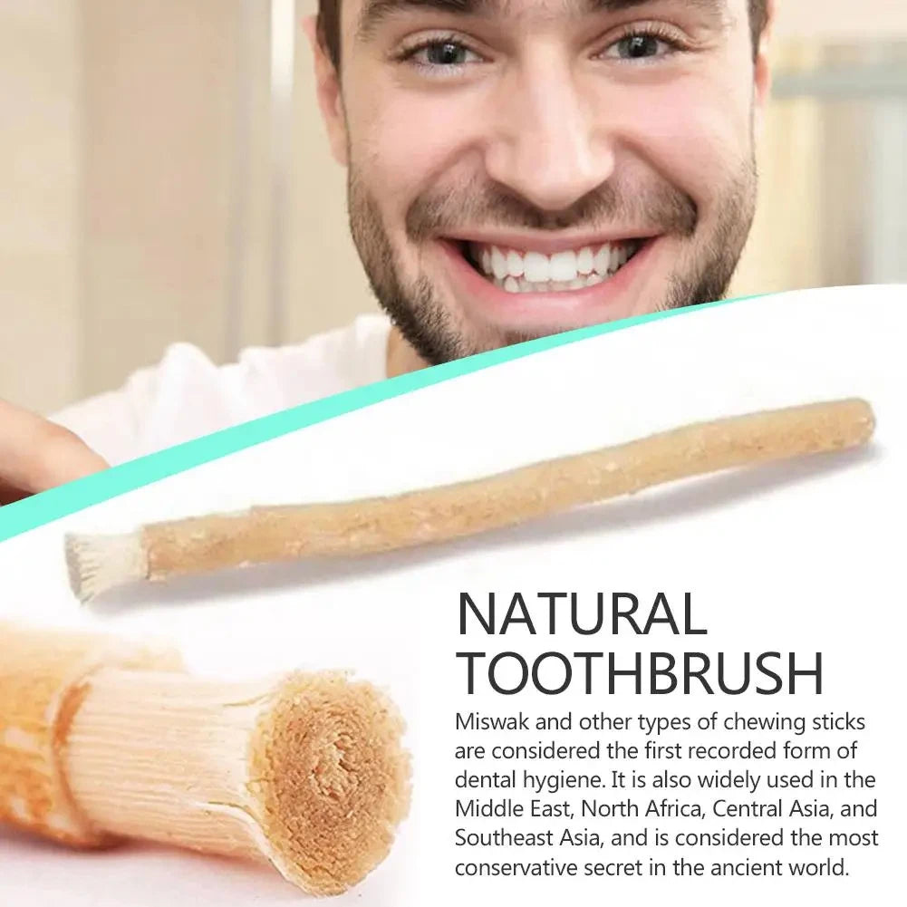 Miswak Toothbrush Stick – Traditonal Teeth Whitenning Tool