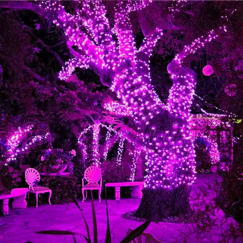 Solar LED Fairy String Lights with Flexible Copper Wire for Garden, Patio, Tree and Christmas Party Decorating