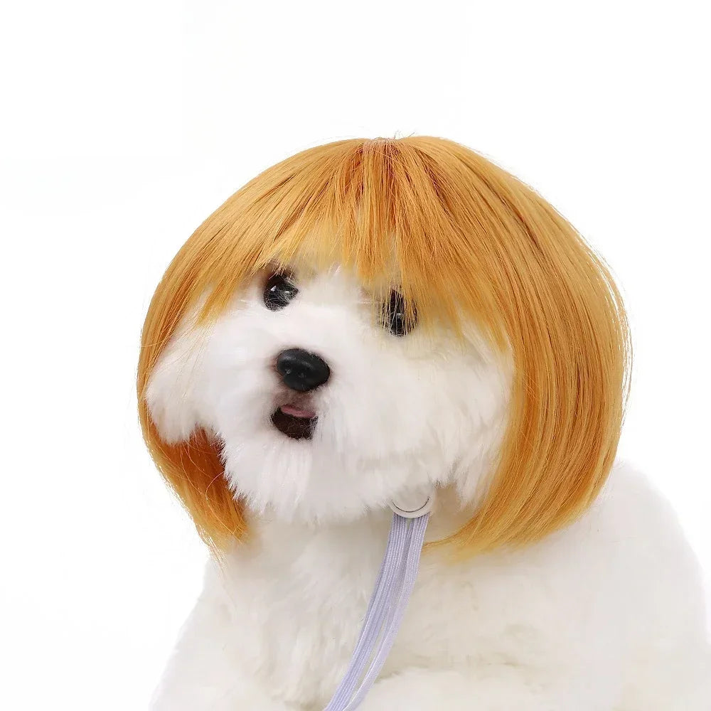 Pet Wig – Curly & Straight Hair Costume Accessory for Dogs & Cats, DIY Trimmed