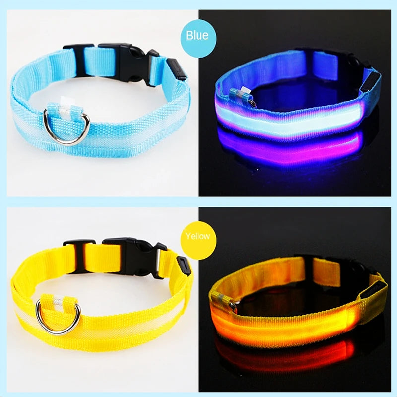 LED Glowing Dog Collar – Adjustable Rechargeable Flashing Luminous Night Safety Collar for Small Dogs