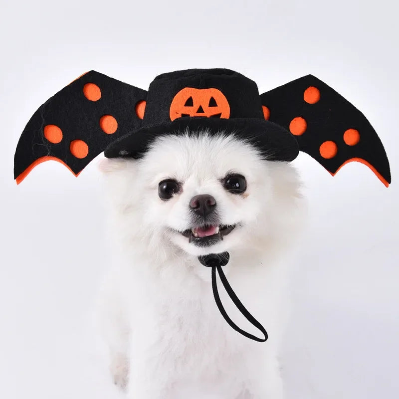 Halloween Stuffed-Body Pet Costume with Wig Hat