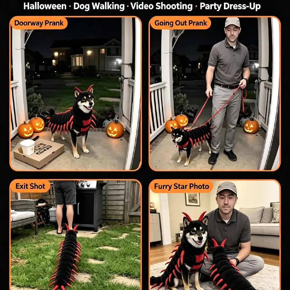 Centipede Cat Costume for Halloween