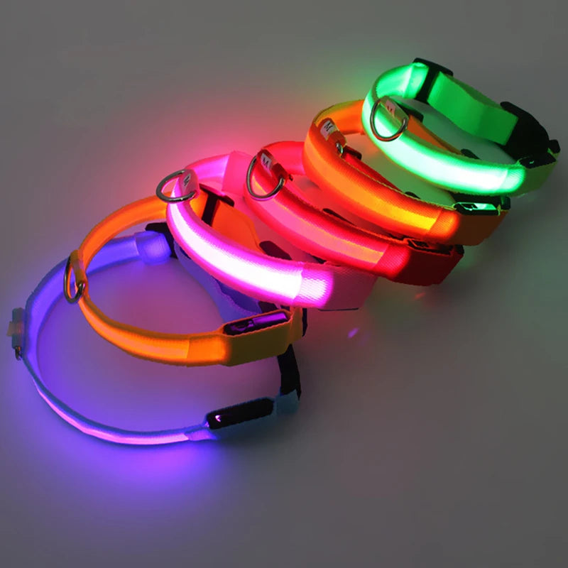 LED Glowing Dog Collar – Adjustable Rechargeable Flashing Luminous Night Safety Collar for Small Dogs
