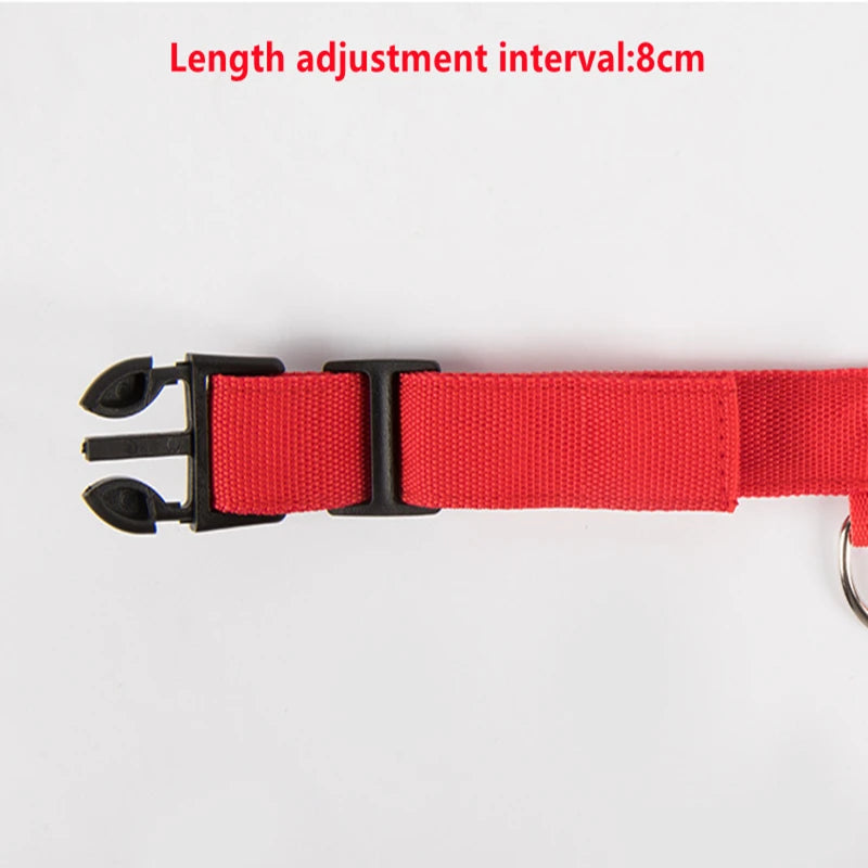 LED Glowing Dog Collar – Adjustable Rechargeable Flashing Luminous Night Safety Collar for Small Dogs