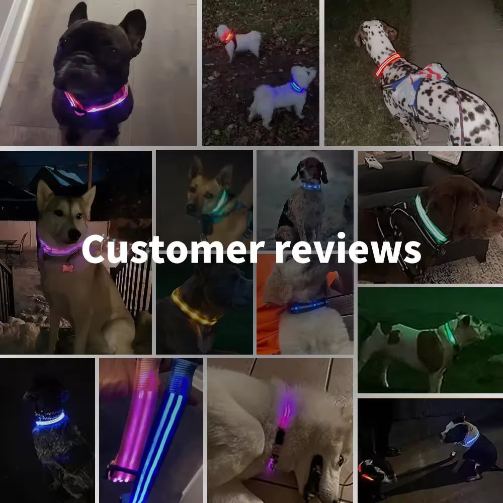 LED Glowing Dog Collar – Adjustable Rechargeable Flashing Luminous Night Safety Collar for Small Dogs