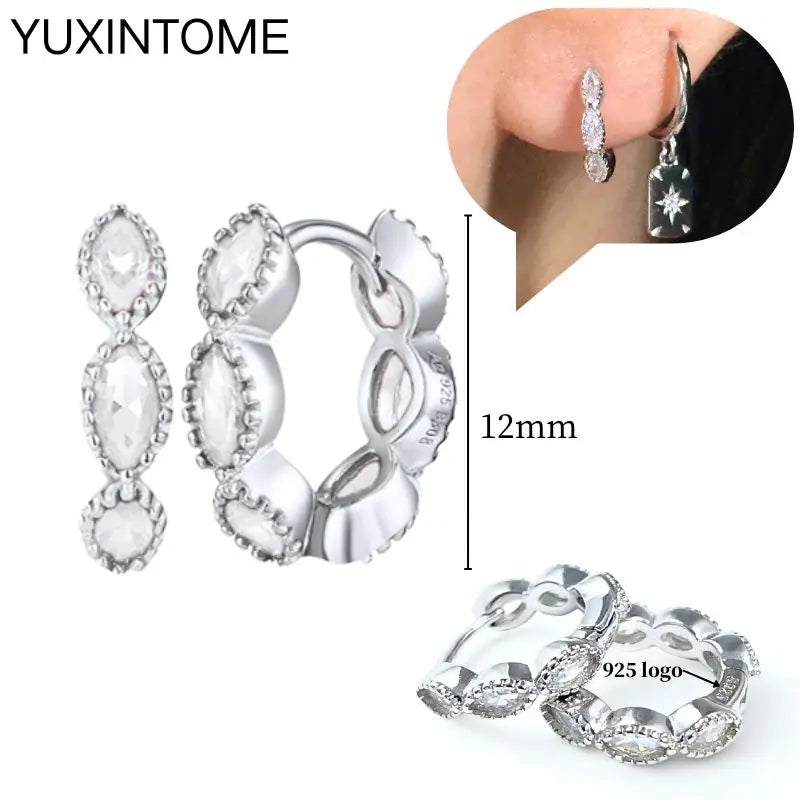 925 Sterling Silver Multi-Turn Hoop Earrings with White Zircon, Fashion Punk Jewelry for Women
