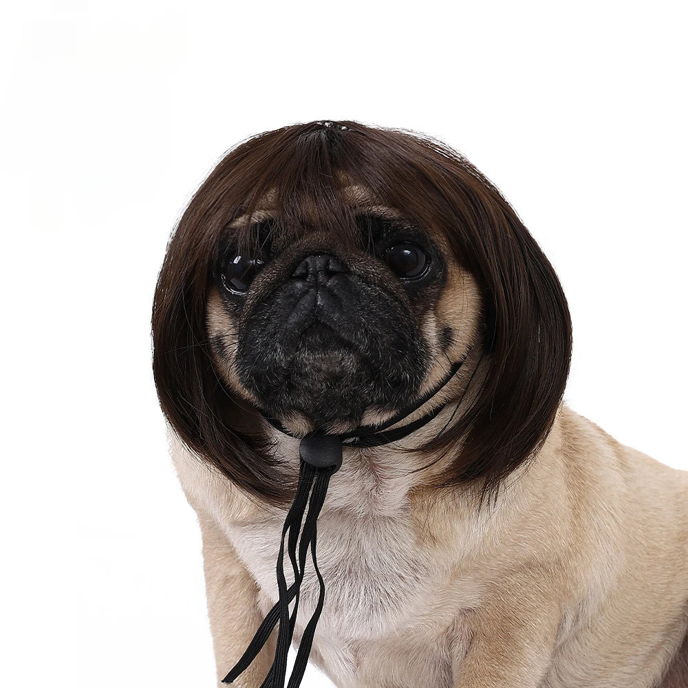 Pet Wig – Curly & Straight Hair Costume Accessory for Dogs & Cats, DIY Trimmed