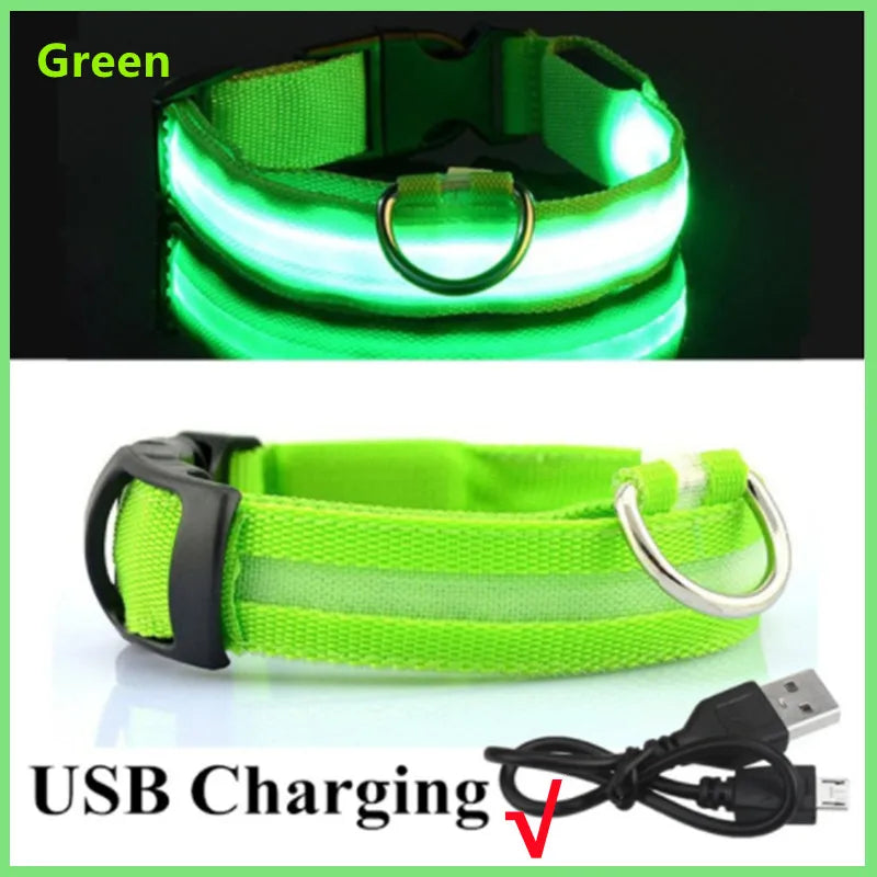 LED Glowing Dog Collar – Adjustable Rechargeable Flashing Luminous Night Safety Collar for Small Dogs