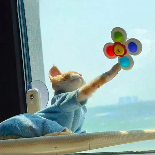 Suction Cup Spinner Cat Toy