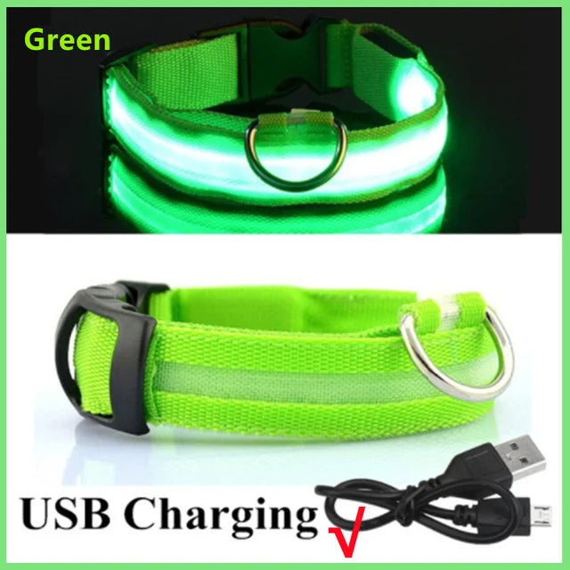LED Glowing Dog Collar – Adjustable Rechargeable Flashing Luminous Night Safety Collar for Small Dogs