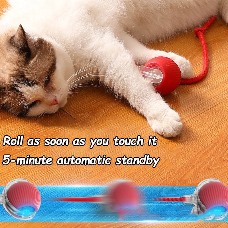 Cat Interactive Ball Toy - Automatic Rolling Ball with Faux Tail, Rechargeable Smart Pet Electric Toy for Dog & Cat Training, Imitates Mouse Movement