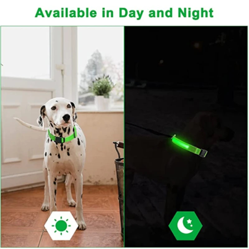 LED Glowing Dog Collar – Adjustable Rechargeable Flashing Luminous Night Safety Collar for Small Dogs