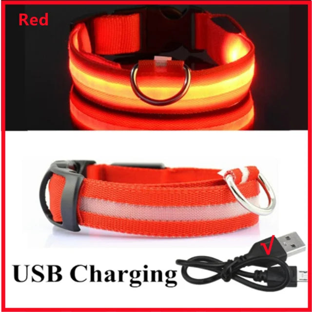 LED Glowing Dog Collar – Adjustable Rechargeable Flashing Luminous Night Safety Collar for Small Dogs