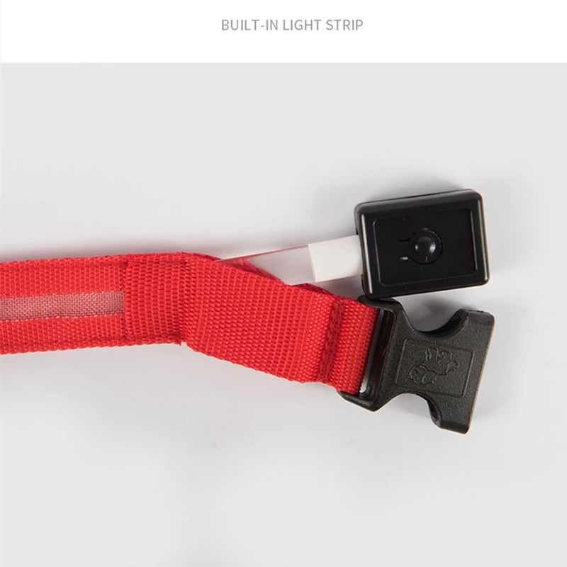 LED Glowing Dog Collar – Adjustable Rechargeable Flashing Luminous Night Safety Collar for Small Dogs