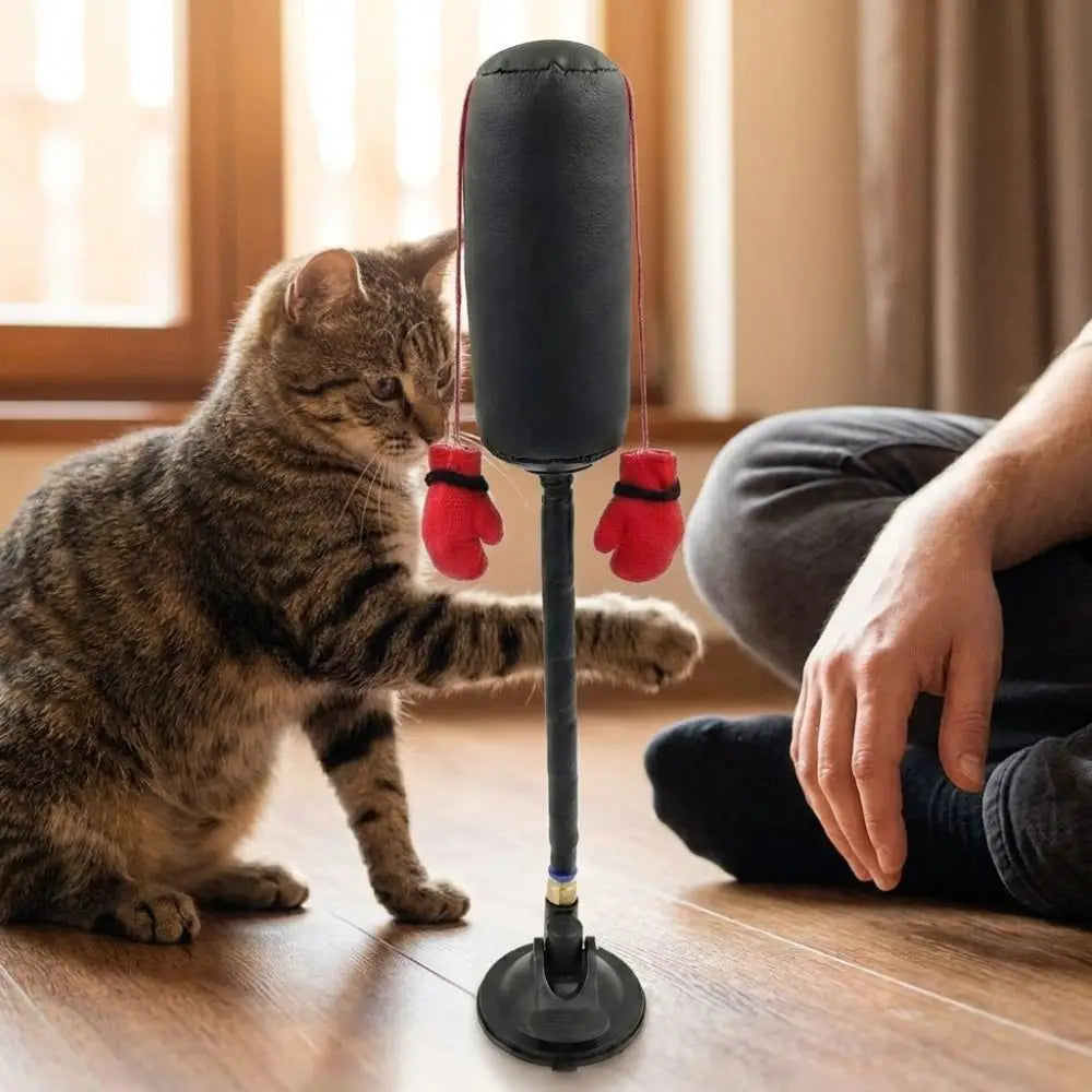 Interactive Cat Boxing Toy with Suction Cup