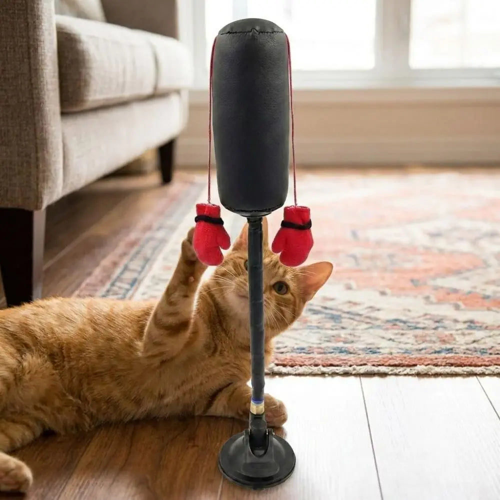Interactive Cat Boxing Toy with Suction Cup