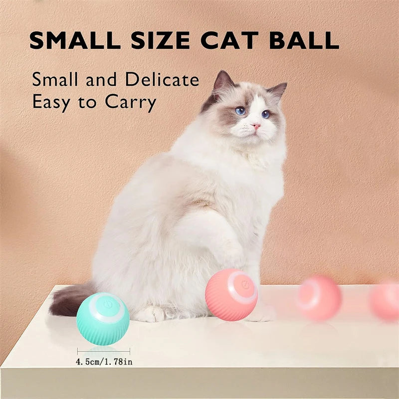 USB Rechargeable Interactive Pet Ball, Automatic Moving Toy for Puppies, Dogs, and Cats