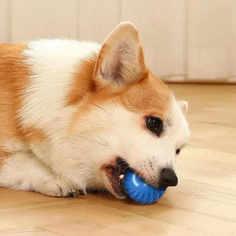 USB Rechargeable Interactive Pet Ball, Automatic Moving Toy for Puppies, Dogs, and Cats