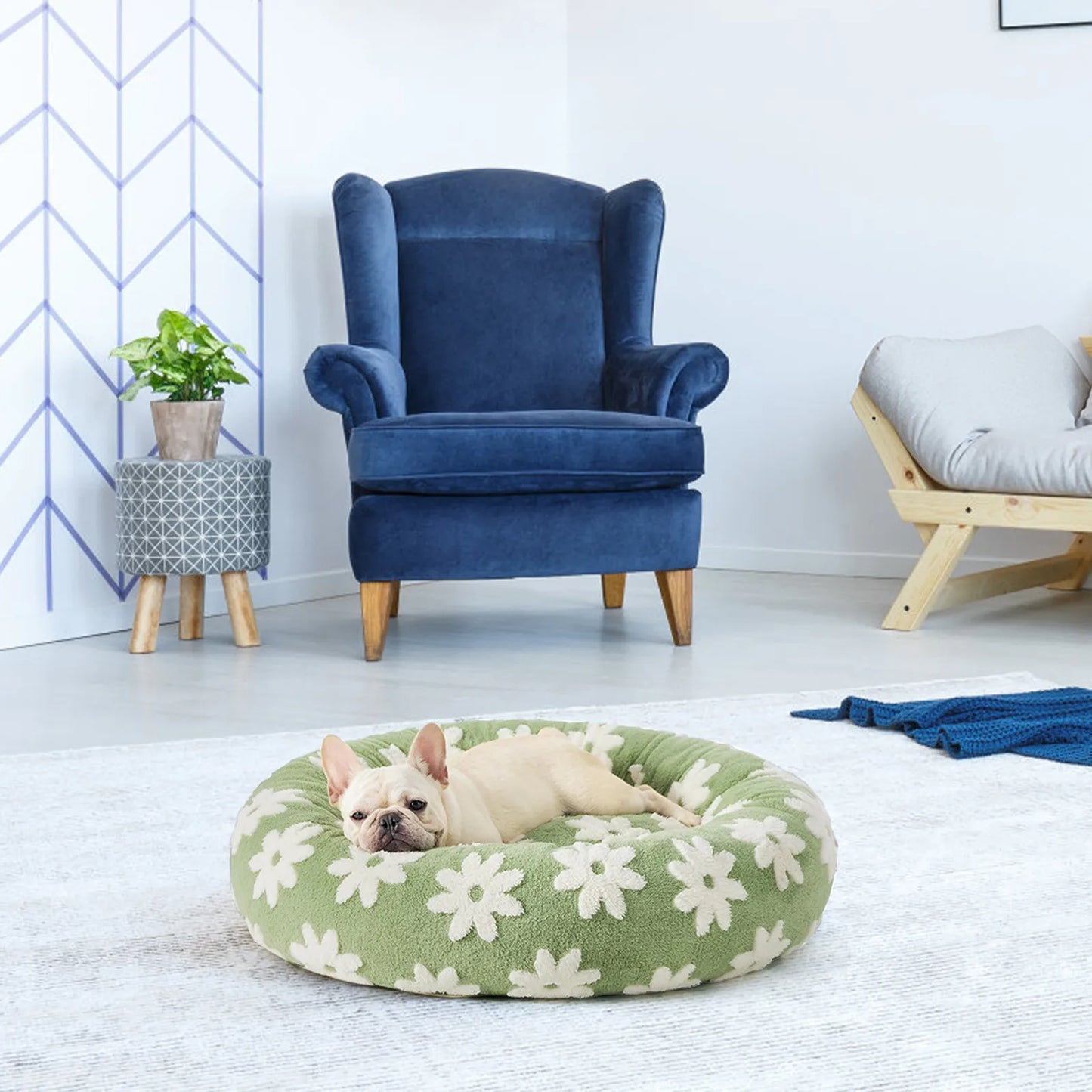 Washable Orthopedic Dog Bed for Small Dogs, Soft Plush Pet Sofa, Cozy Puppy Bed with Non-Slip Bottom
