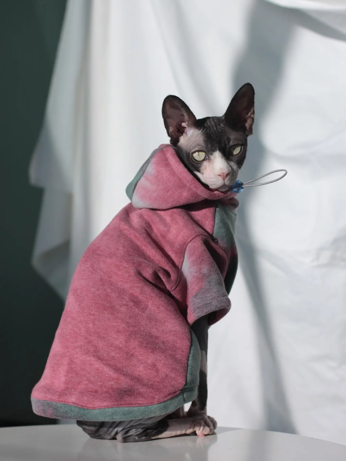 Fleece-Lined Cat & Small Dog Hoodie — Warm Autumn Winter Pet Jacket